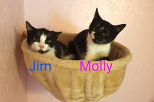 Jim_und_molly_026