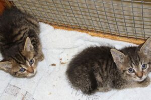 nino und nanny gartenfreunde 7_7_21 IMG_4680we