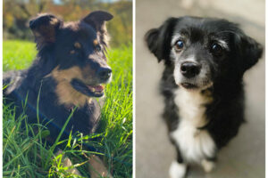 Fly-Lucky-privat