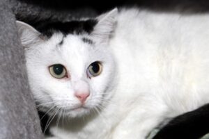 lilli lilly IMG_8509we lilli lilly IMG_8509we