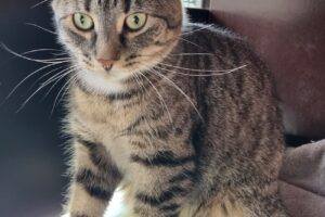 elena 821_135854 elena 821_135854