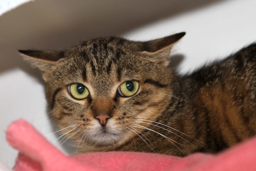 elena IMG_3807we elena IMG_3807we