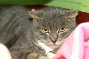 nemo IMG_0102we