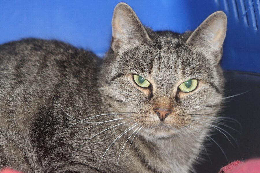 blake IMG_1547we blake IMG_1547we