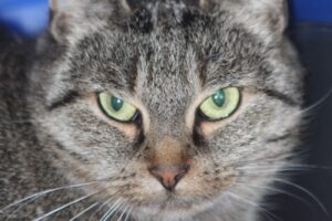 blake IMG_1549we blake IMG_1549we