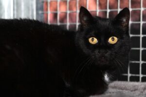 britta IMG_1426we