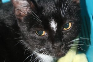 naomi IMG_2813e