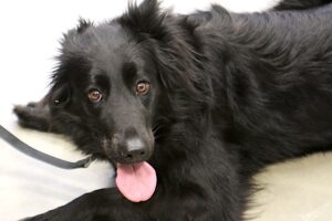 sissi IMG_3049WE