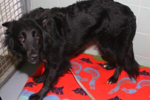 sissi IMG_4204we