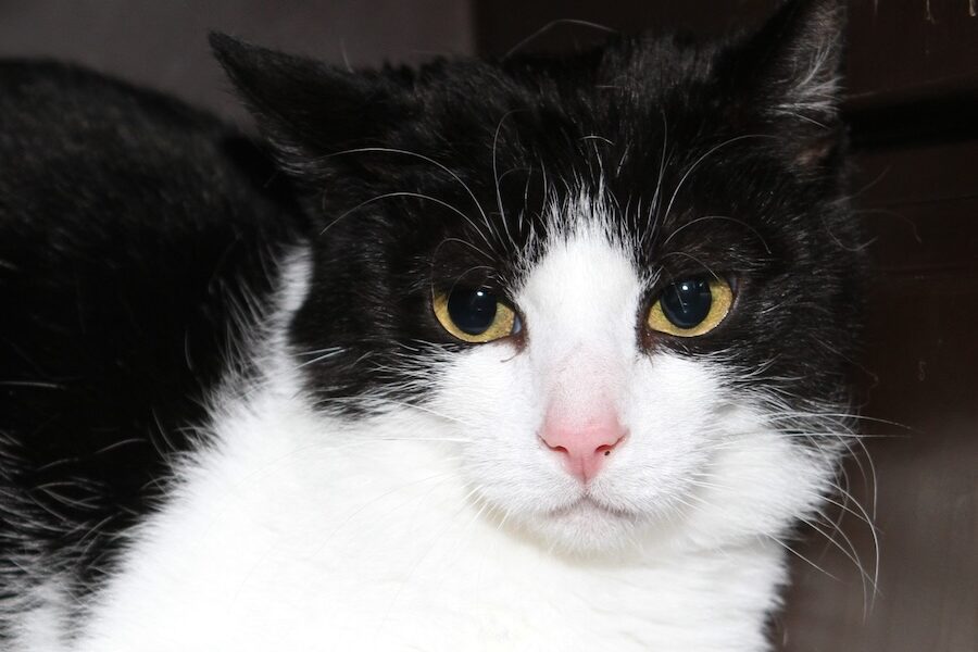 river IMG_8524we river IMG_8524we