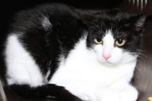 river IMG_8527we river IMG_8527we