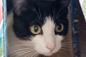 river IMG_8929 river IMG_8929