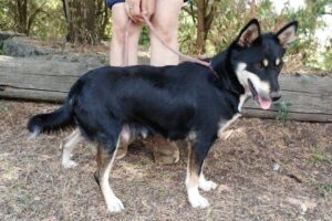 Sylvia IMG 03