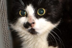 Glinda IMG_8954we