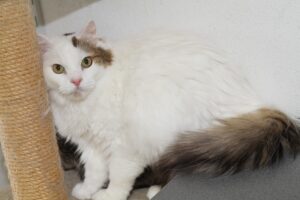 flauschi IMG_4062we