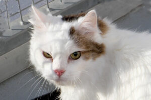 flauschi IMG_9964we