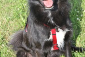 jacky IMG_1096we
