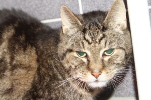maxi IMG_0370we