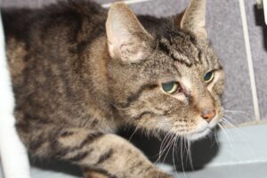 maxi IMG_0371we
