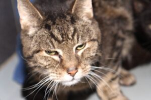 maxi IMG_9944we