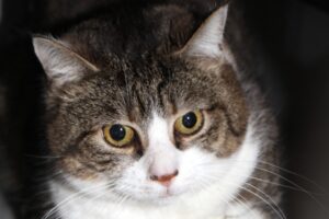 mia IMG_9956we
