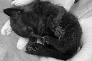 nelly IMG_1603