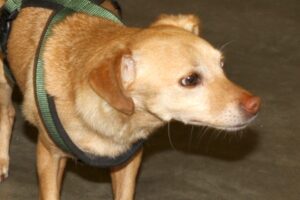 timmy abgabe IMG_4440we timmy abgabe IMG_4440we