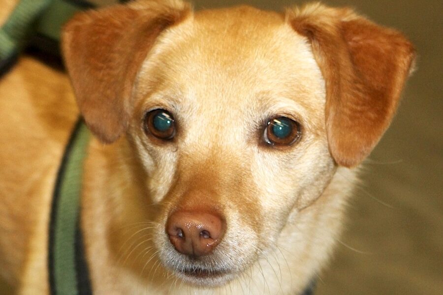 timmy abgabe IMG_4445we timmy abgabe IMG_4445we