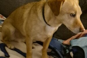 timmy image002 timmy image002