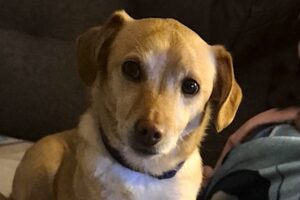 timmy image003 timmy image003