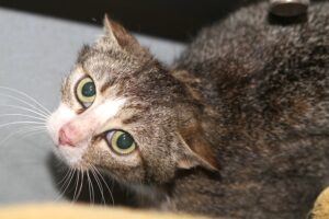 alegra IMG_1727we