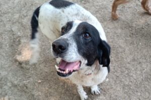 argo IMG-20230630-WA0011