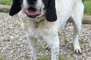 argo IMG_2287-scaled