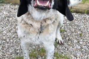 argo IMG_2289-scaled