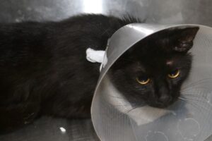 benny IMG_0670we