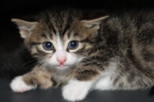 fritz IMG_0356we 2
