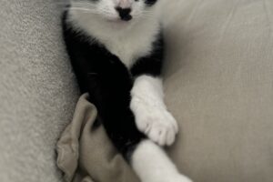hinami hanni IMG_7653
