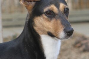 jacky IMG_2388we jacky IMG_2388we