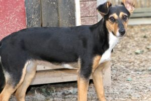 jacky IMG_2391we jacky IMG_2391we