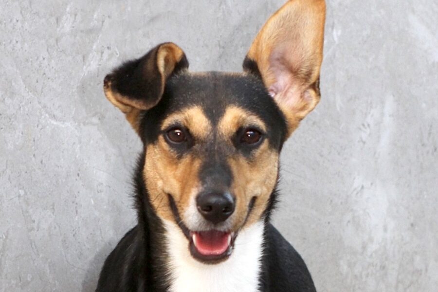 jacky IMG_2396we jacky IMG_2396we