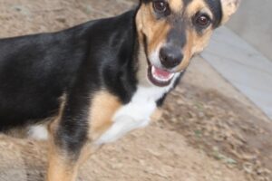 jacky IMG_2404we jacky IMG_2404we