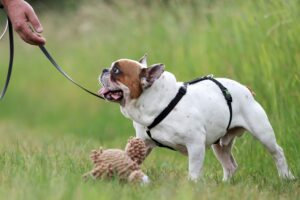 julio IMG_6119