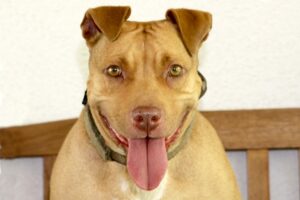 lila IMG_1748we