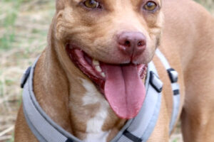 lila IMG_2640we