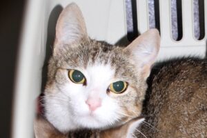 linda IMG_0945we linda IMG_0945we