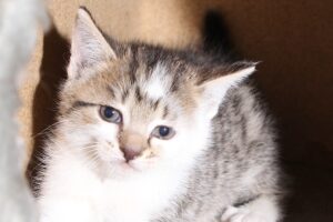 lola IMG_0880we lola IMG_0880we