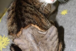 minak IMG_0509we