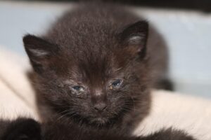 moni + kinder IMG_2057we moni + kinder IMG_2057we