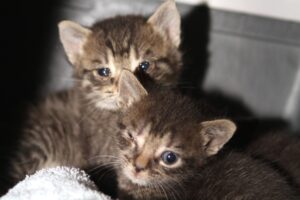 moni + kinder IMG_2060we moni + kinder IMG_2060we