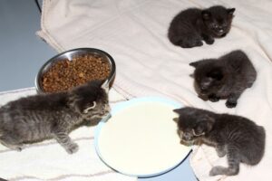 moni + kinder IMG_2062we moni + kinder IMG_2062we